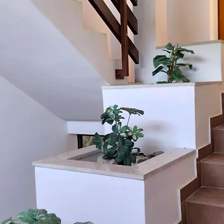 Antunovic Apartment *