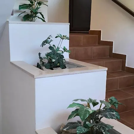 Apartment Antunovic *