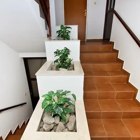 Apartment Antunovic