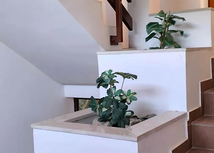 Antunovic Διαμέρισμα *